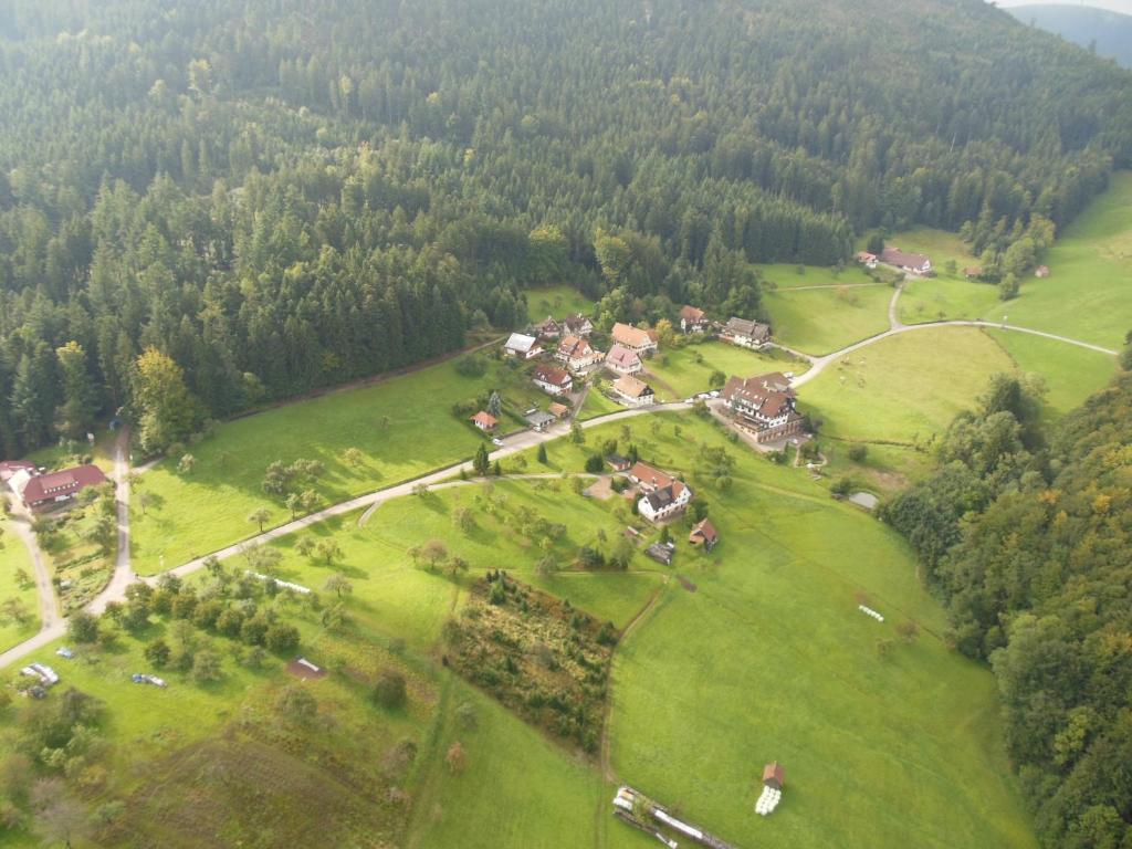 Hoehenhotel & Restaurant Kalikutt Oppenau Exterior foto